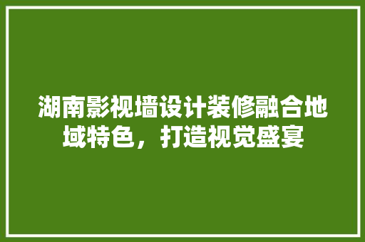 湖南影视墙设计装修融合地域特色，打造视觉盛宴