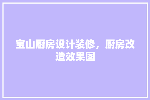 宝山厨房设计装修，厨房改造效果图