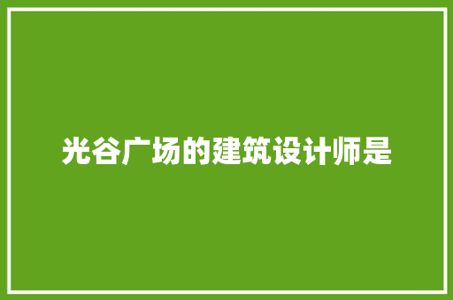 光谷广场的建筑设计师是 建筑法规