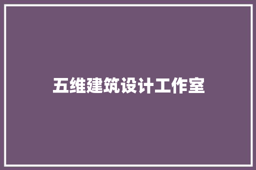 五维建筑设计工作室 施工工艺
