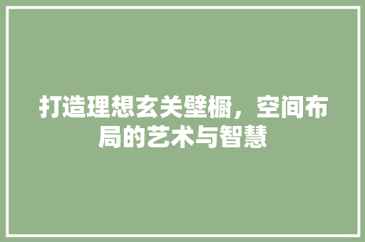 打造理想玄关壁橱，空间布局的艺术与智慧