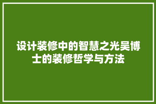 设计装修中的智慧之光吴博士的装修哲学与方法 工艺流程