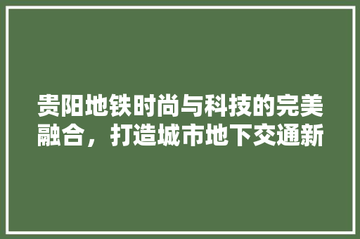 贵阳地铁时尚与科技的完美融合，打造城市地下交通新标杆