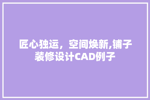 匠心独运，空间焕新,铺子装修设计CAD例子