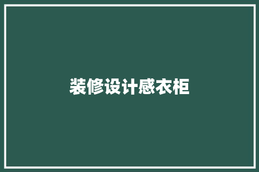 装修设计感衣柜