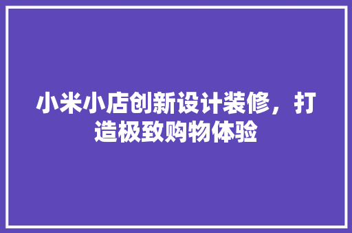 小米小店创新设计装修，打造极致购物体验