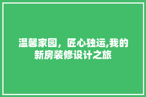 温馨家园，匠心独运,我的新房装修设计之旅