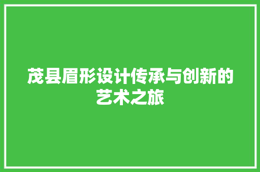 茂县眉形设计传承与创新的艺术之旅 新型材料