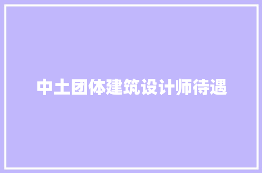 中土团体建筑设计师待遇 施工技术